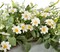 24 Inch Artificial Daisy Flower Summer Wreath with Eucalyptus Green Leaves Farmhouse Wreath for Front Door Wall Home Party Decoration